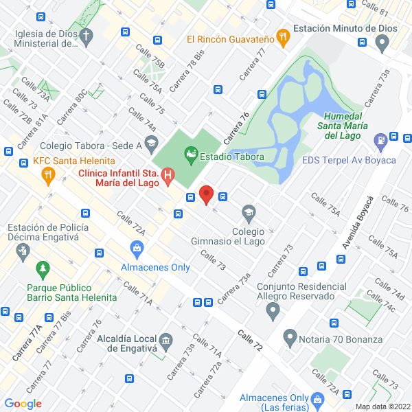 Mapa de Línea Profesional Diseños Y Proyectos S.A.S.