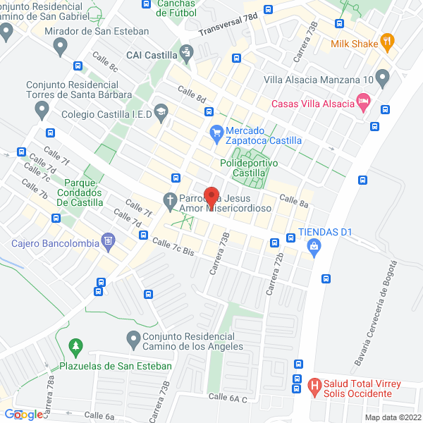Mapa de Organización De Transportes Terrestres Especiales S.A.S