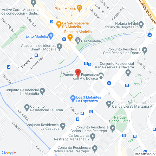 Mapa de Bizonte S.A.S.