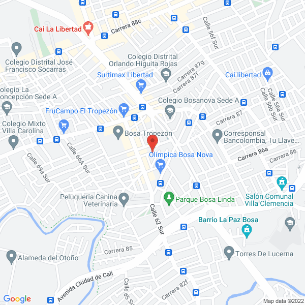 Mapa de Dielect S.A.S.