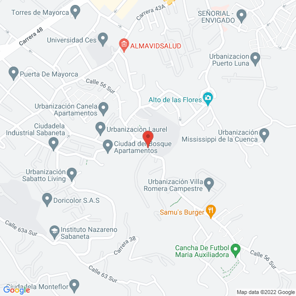 Mapa de Estructura Liviana Tok'Yo