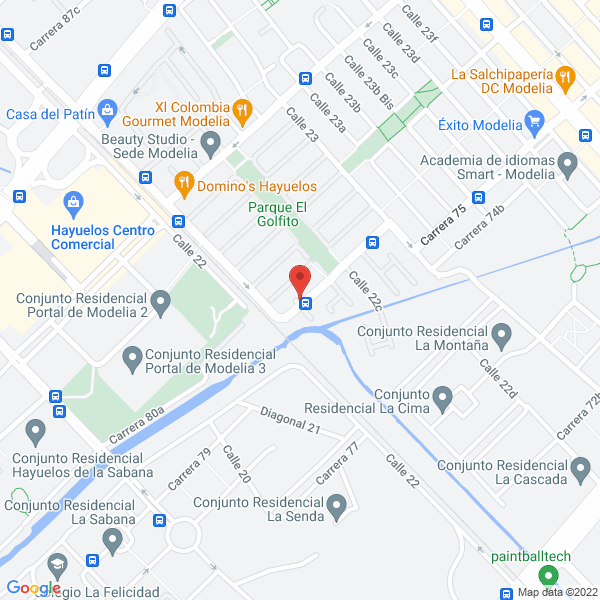 Mapa de L.M. Customs Cargo Asia S.A.S.
