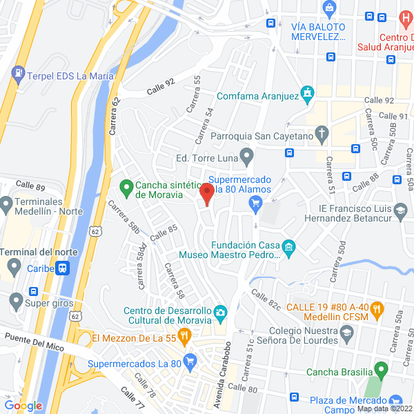 Mapa de Bambú - Arte