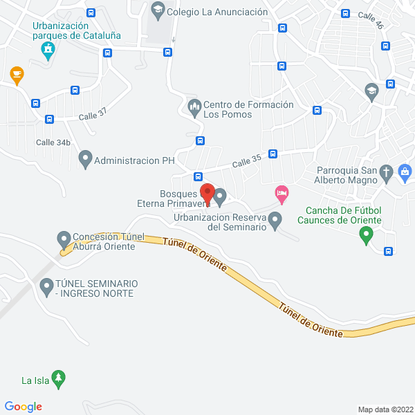 Mapa de Bosques De Eterna Primavera