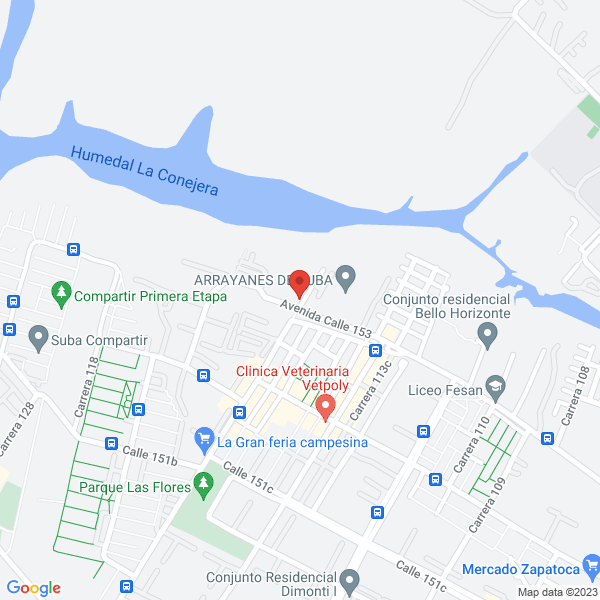 Mapa de Ricardo Patiño Carvajal