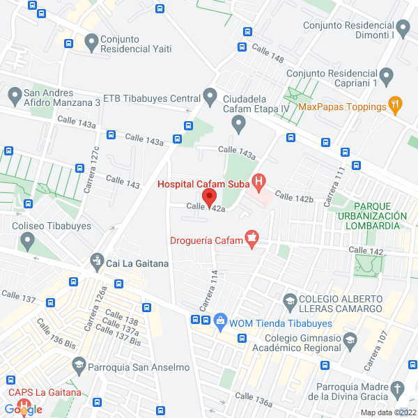 Mapa de Sinergia Y Desarrollo Logístico S.A.S.