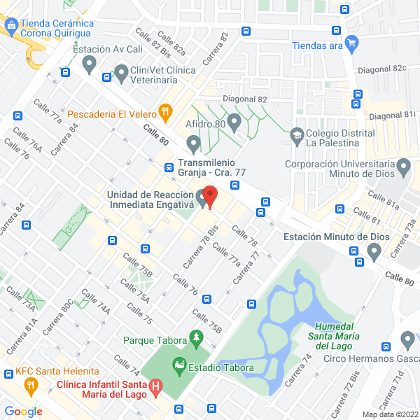 Mapa de Diseños Formas Especiales