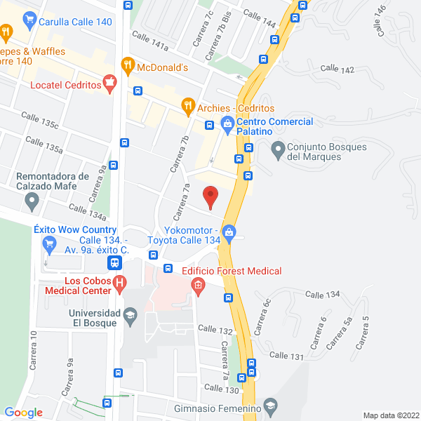 Mapa de Arriaga Guerrero Angélica M.