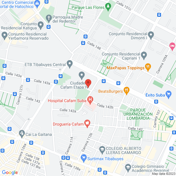 Mapa de Diseño Civil Y Estructural Inteligente S.A.S.