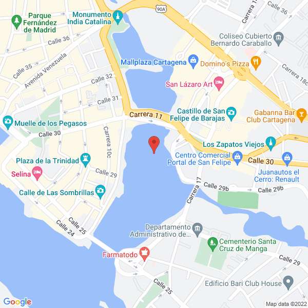 Map of Cemic S.A.S.