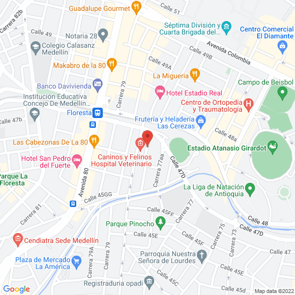 Map of Foto Castro