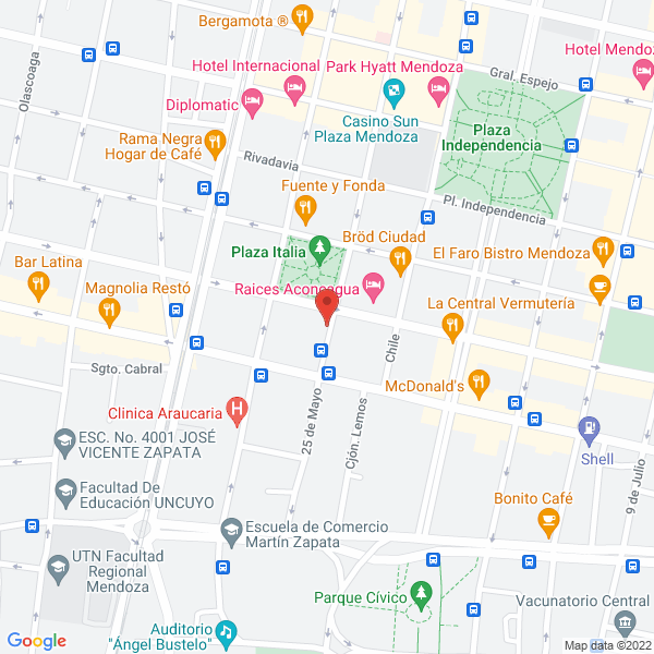 Map of Neovision