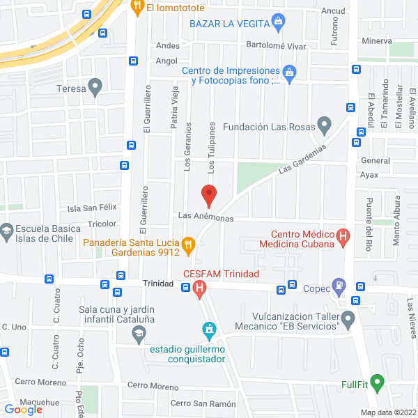 Map of Gasfitería Express