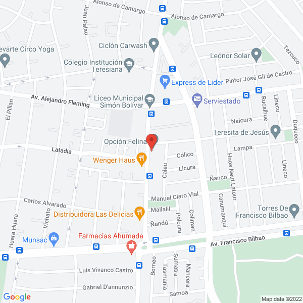 Map of Jardín Infantil y Sala Cuna Montessori Santa María de las Nieves