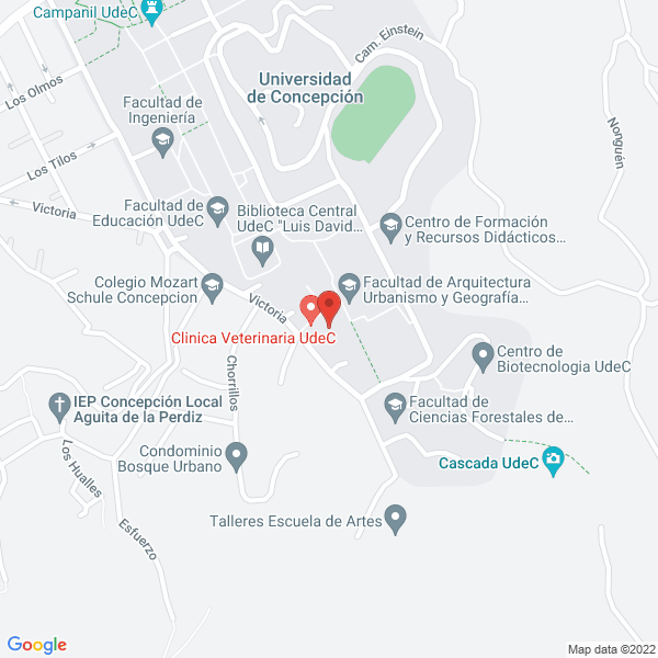Map of Amigo - Mascotas